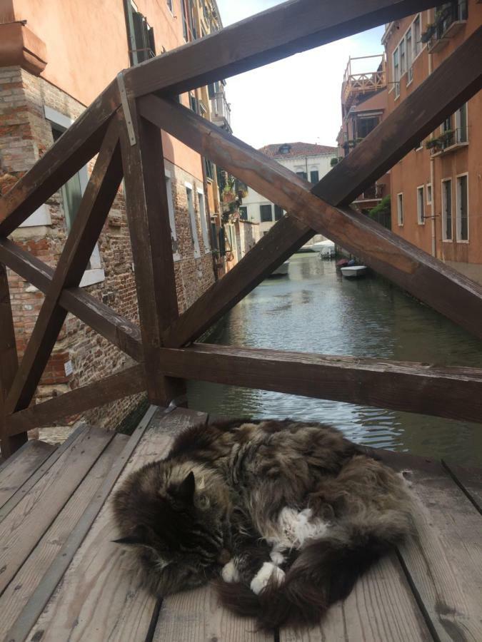 Tintoretto 1 Con Terrazza Sopra Il Tetto, 3 Bagni, 3 Grandi Da Letto, Super Nuovo Venecia